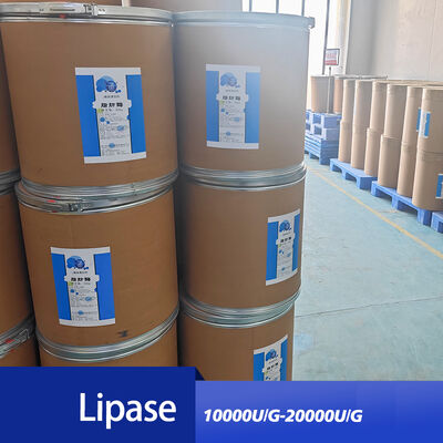 lipase 10000U the enzyme that breaks down fats Applied to bread and sweet essence