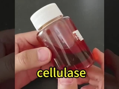 acid cellulase 30000u/g juice&fruit wine&wine processing