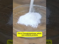 1000U/G Glutamine Transaminase For Minced Meat Grilled Sausage