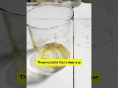 White Powder High Amylase Starch 200000u/G Thermostable Alpha Amylase