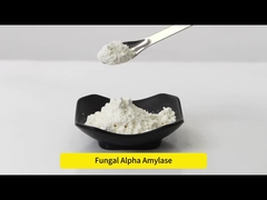 5000SKB-10000SKB Fungal Amylase For Increasing Bread Volume , Delaying Aging