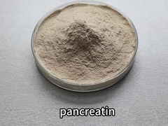 Pancreatic enzyme 4000u/g, food grade, pharmaceutical grade