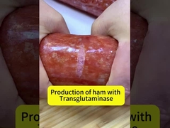 grilled intestine adhesive Transglutaminase enzyme