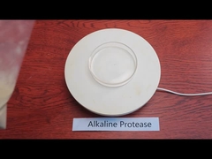 200000U/G Acid Protease Enzyme Powder Customized Food Grade Industrial Grade