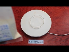 ISO HALAL Alpha Amylase Glucoamylase For Fermentation And Food Processing