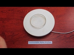 Powder Like Thermostable Alpha Amylase 200000u/G Water Soluble Food Enzymes