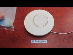 alpha amylase enzyme
