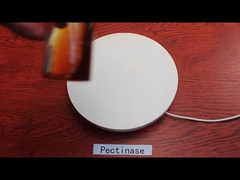 20000U/G Pectinase Product Liquid Pectinase Enzyme In Food Industry