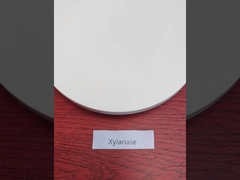 Customized Enzyme Activity Xylanase Manufacturer 20000U/G
