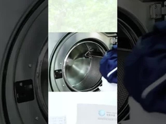 Detergent Industry Alkaline Protease Enzyme