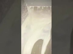 alpha amylase in food industry