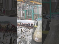 Alkaline protease for feed processing