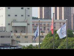 DOING-HIGHER papain bromelain Enzyme