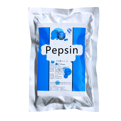 Food Grade Stomach Enzyme Pepsin 3000NF/Mg-10000NF/Mg Powder Like