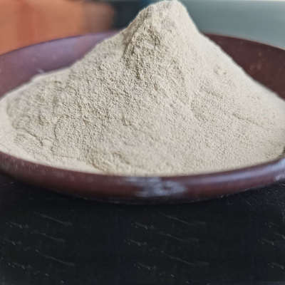 Food Grade Thermostable Alpha Amylase Food Enzyme Activity Customized