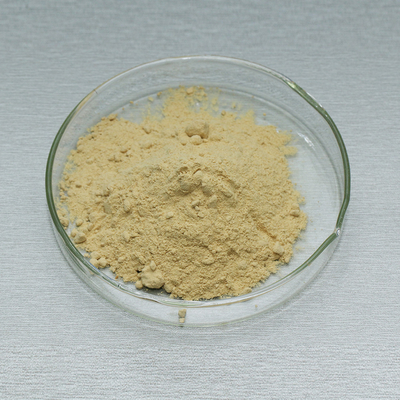 Food Grade & Feed Grade Glucose Oxidase Powder Like Baking Enzymes