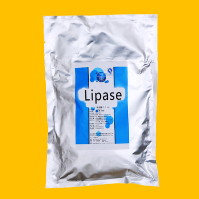 Light White Powder Lipases Enzymes 10000U/G-90000U/G Lipase Digestive Enzymes