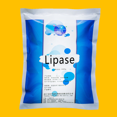 White Powder Enzyme Of Fats 20000U/G Lipase Customized Enzyme Activity