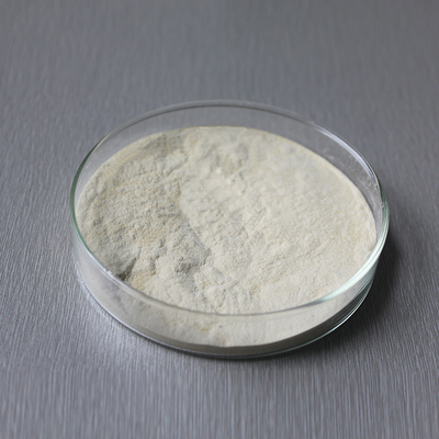 Nature Made Bromelain 2400GDU For Protein Feed And Medicine Customizing Enzyme Activity Specifications