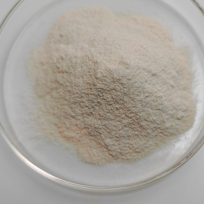 Enzyme Tannase 250U/G-500U/G For Juice / Wine / Plant Extraction Enzymatic Hydrolysis Technology Guidance
