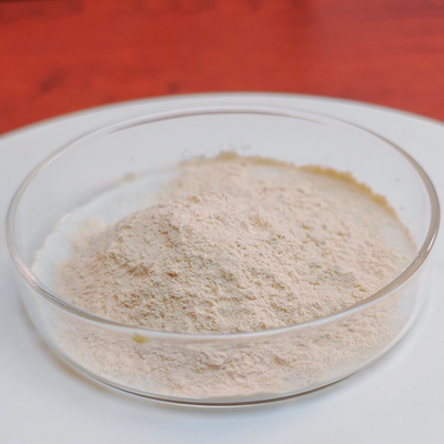 pepsin enzyme 3000NF/Mg pepsin manufacturers，customized food grade&pharmaceutical grade