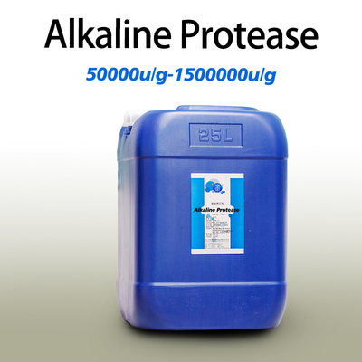 Industri Kulit Bubuk Alkaline Protease 37071 50000u/G-1500000u/G