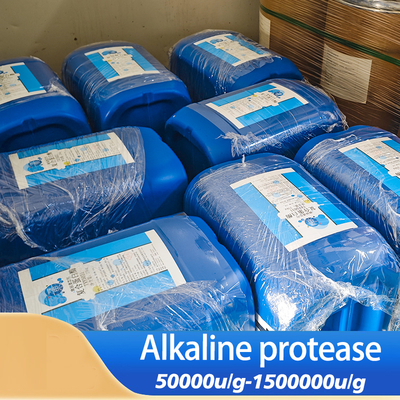 Detergente de proteasa de enzimas personalizado 2.5L Proteasa alcalina soluble en agua
