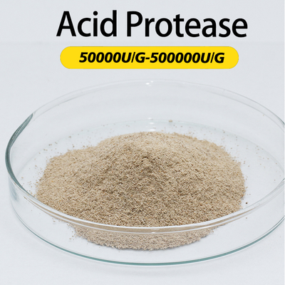 50000U/G-200000U/G Säure-Protease zur Fermentation von Lebensmitteln