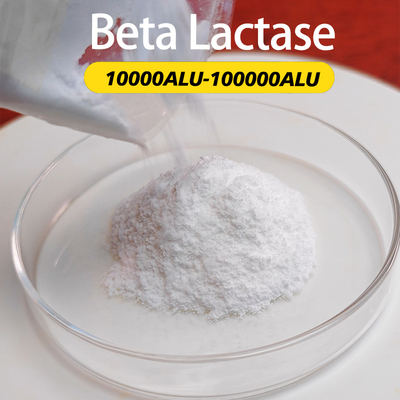 Beta Lactasa Enzimas Digestivas Lácteas 100000ALU Proporcionando una Muestra de Preparación Enzimática Pedido Mínimo 1kg