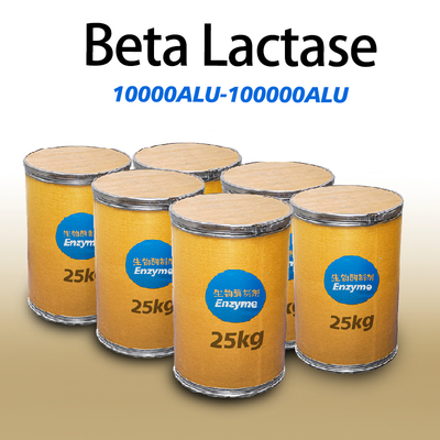 เอ็นไซม์ทางเดินอาหารของนม 10000ALU-100000ALU เบต้า ลาคตาส ขาวฝุ่น