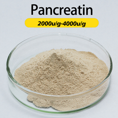 Pankreatik Su Farmasötik Enzimleri Özel Pankreatin Tozu Gıda Sınıfı