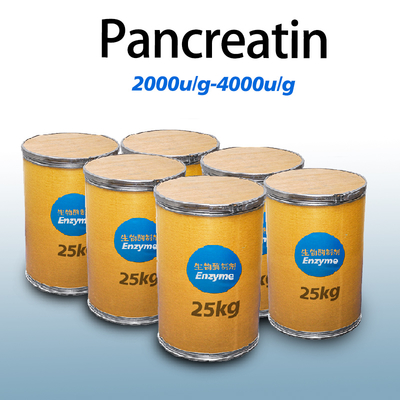 Polvo blanco gris similar a la proteasa pancreatina 4000u/G Preparación enzimática