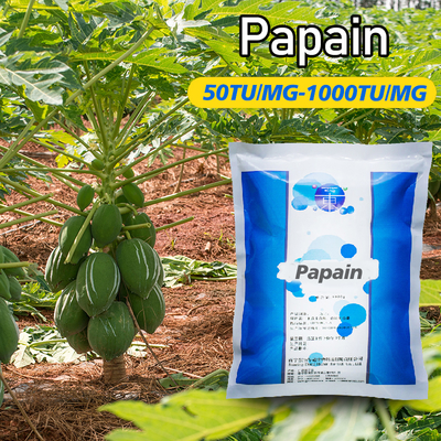 Enzim Papaya Organik 50TU/MG-1000TU/M Bubuk Seperti Benar-benar Larut Dalam Air
