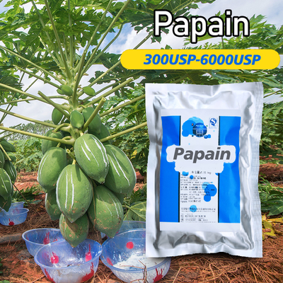 Farmasötik Kalite Bitki Protease Enzimi 300USP-6000USP Papain Üretici