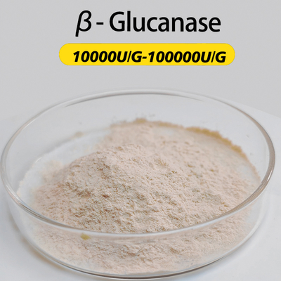 β-Glucanase 10000U/G-100000U/G Dùng trong chế biến thực phẩm và thức ăn chăn nuôi, tùy chỉnh theo thông số kỹ thuật hoạt tính enzyme