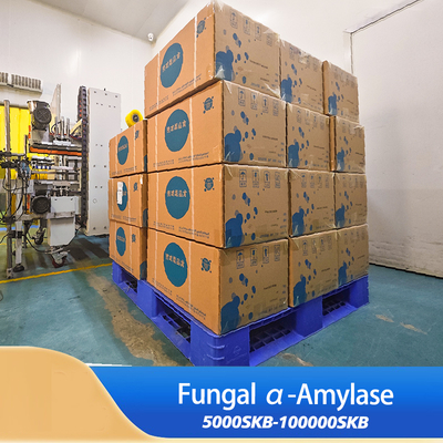Trì trễ lão hóa α-Amylase Alpha amylase nấm để làm bánh mì